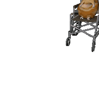 gif of a 3d generated cat falling off a wheelchair